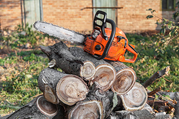 Best Tree Trimming Near Me  in Hobart, OK